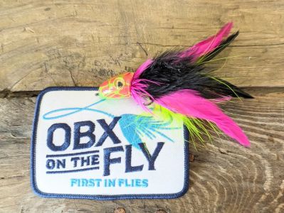 OBX On The Fly photo